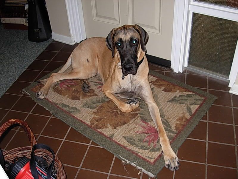DSCN0726.jpg