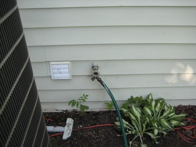 Picture113676.jpg