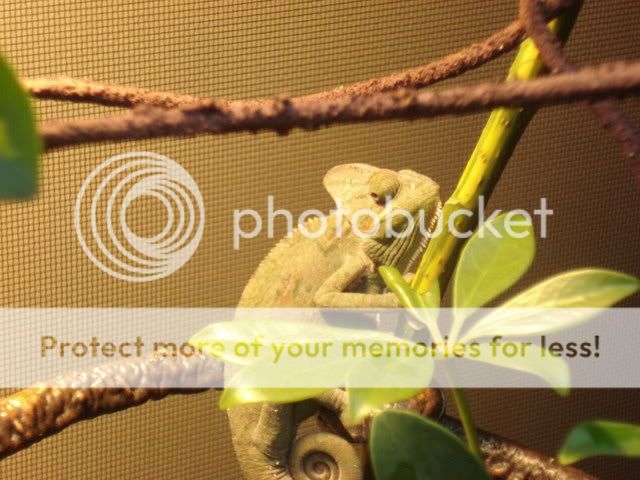 DSC03090.jpg