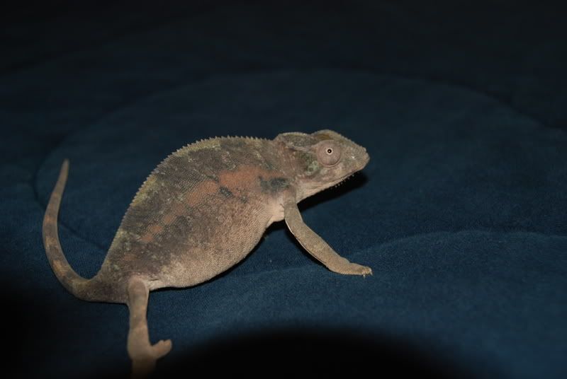 20070821001.jpg