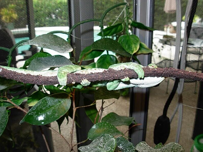 DSCN1298.jpg
