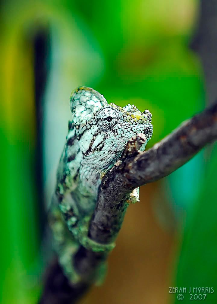 _DSC9029web.jpg