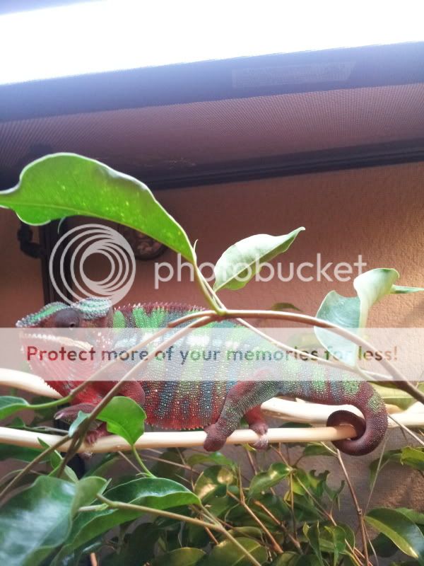 20120804_184516.jpg