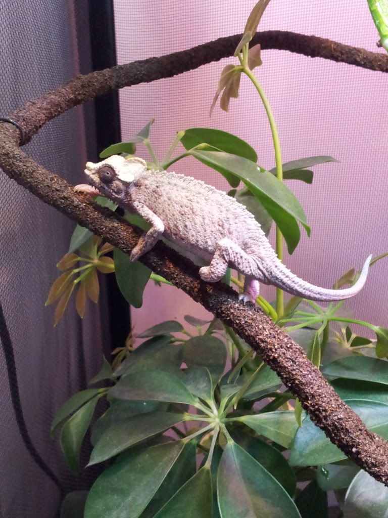 20120308_144512.jpg