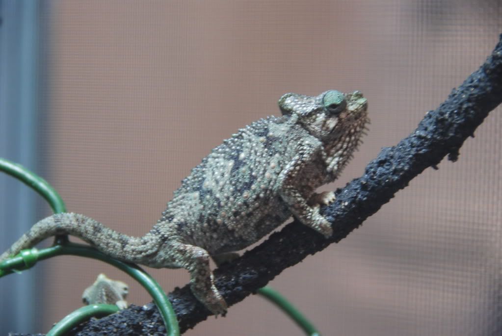 summer20111219.jpg