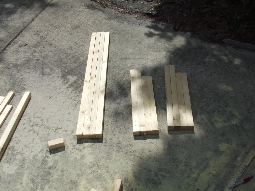 cagebuild006.jpg