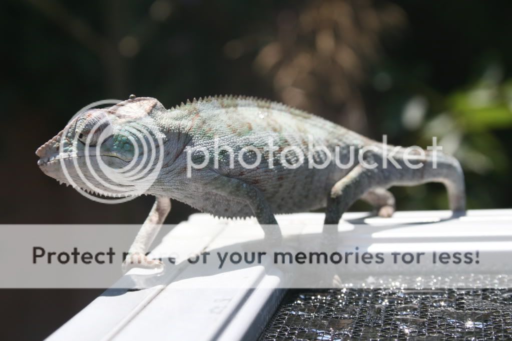 falybabies016-1.jpg