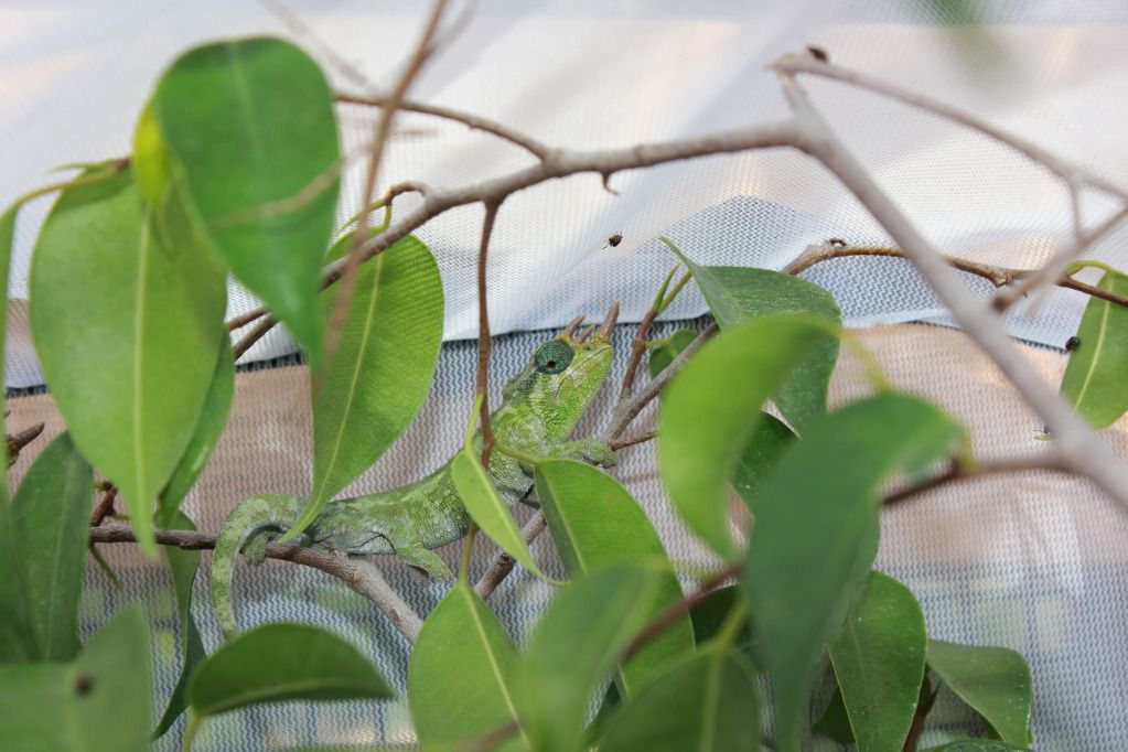 IMG_5496.jpg