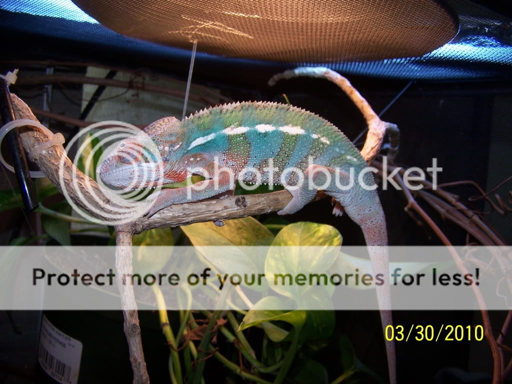 100_2637.jpg