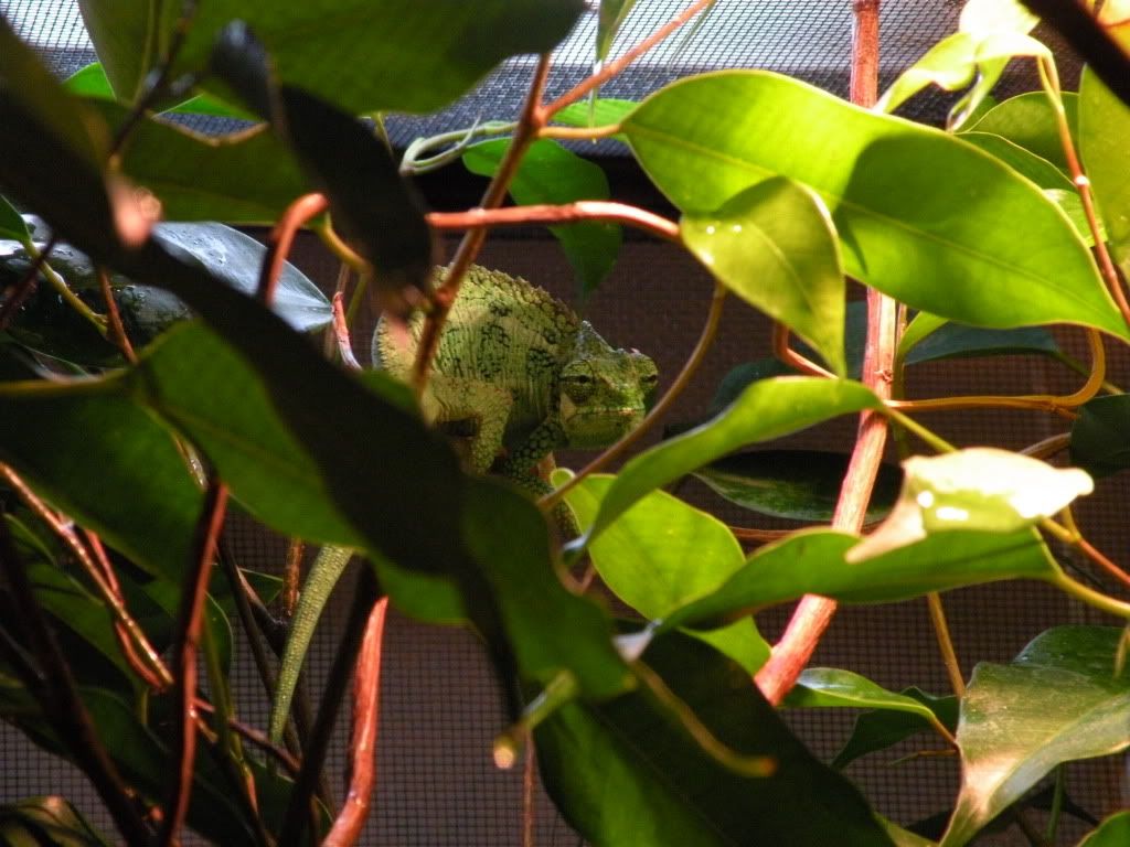 DSCN7027.jpg