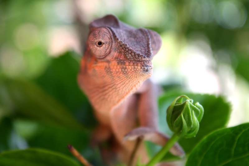 azuraoutside10.jpg