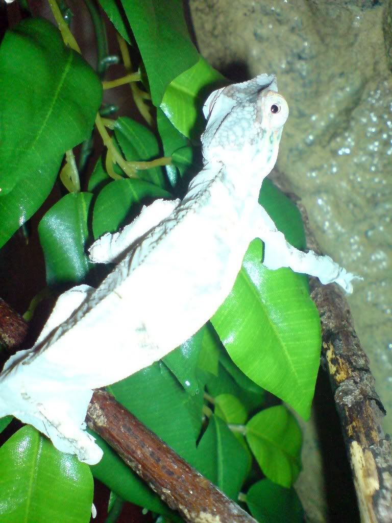 DSC01602.jpg