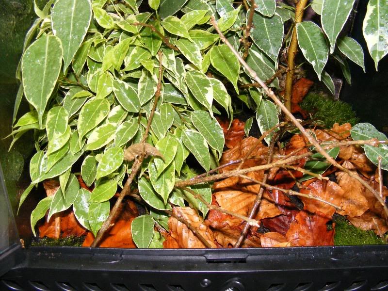 DSCF0035.jpg