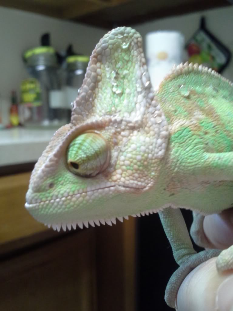 20130506_181132.jpg