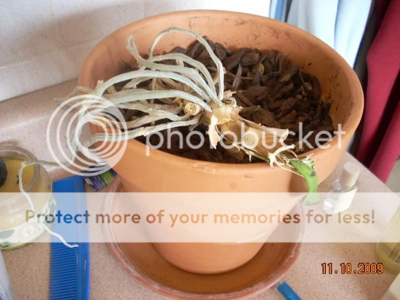 DSCN2165.jpg