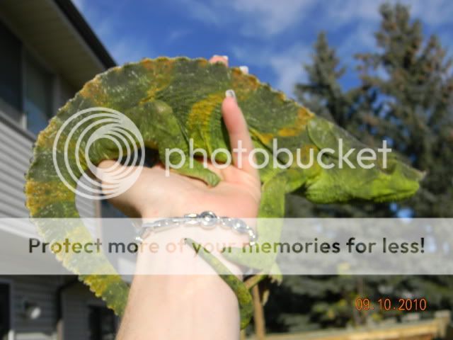 20101009_41.jpg