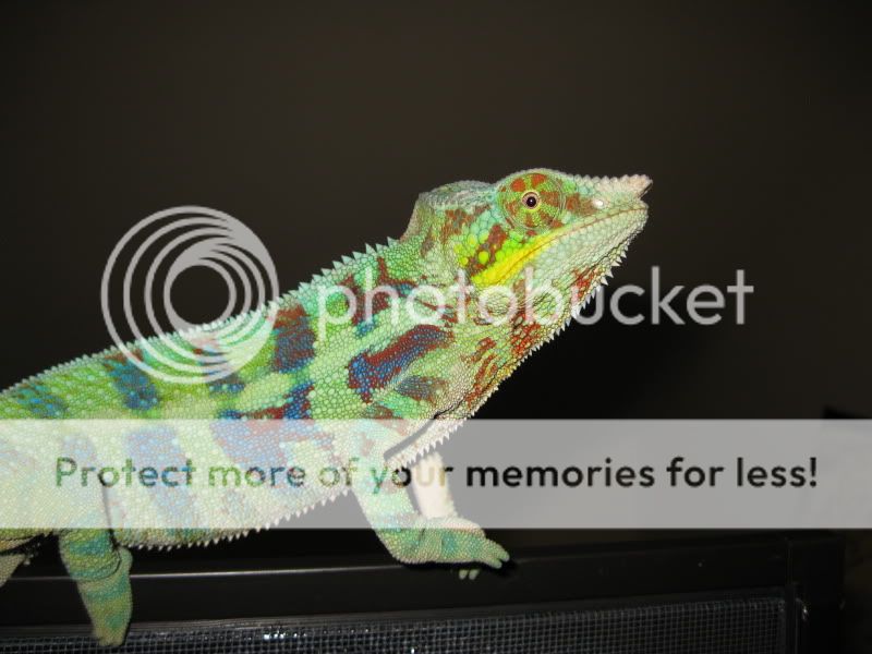 IMG_0570.jpg