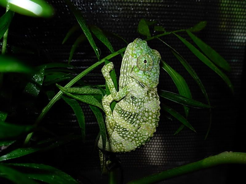 DSCN2308.jpg