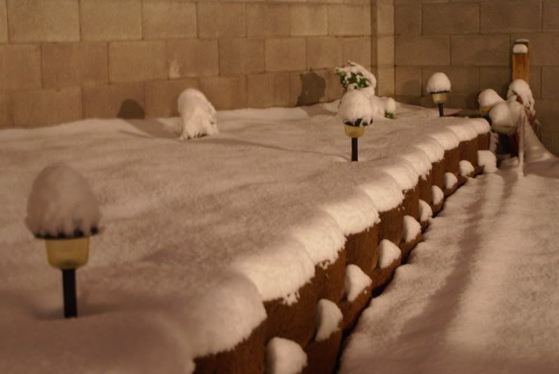 snow025.jpg