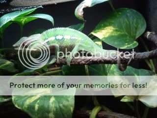 2011-10-22155521.jpg