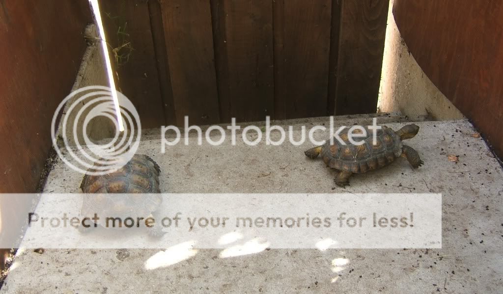 DSCF8535.jpg