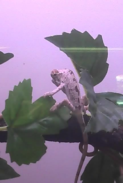 2011-02-12_13-01-38_892.jpg