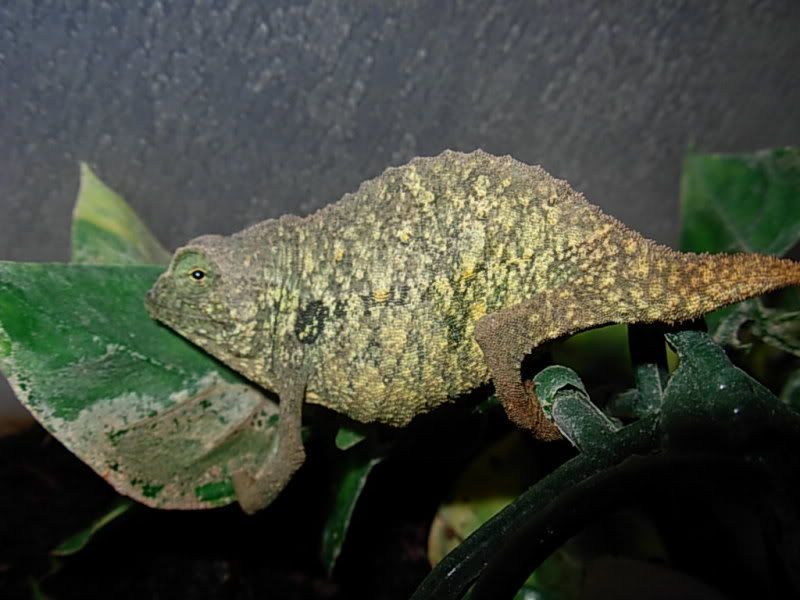 DSCN3915.jpg