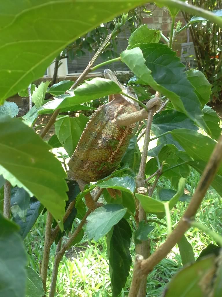 20130706_132142.jpg