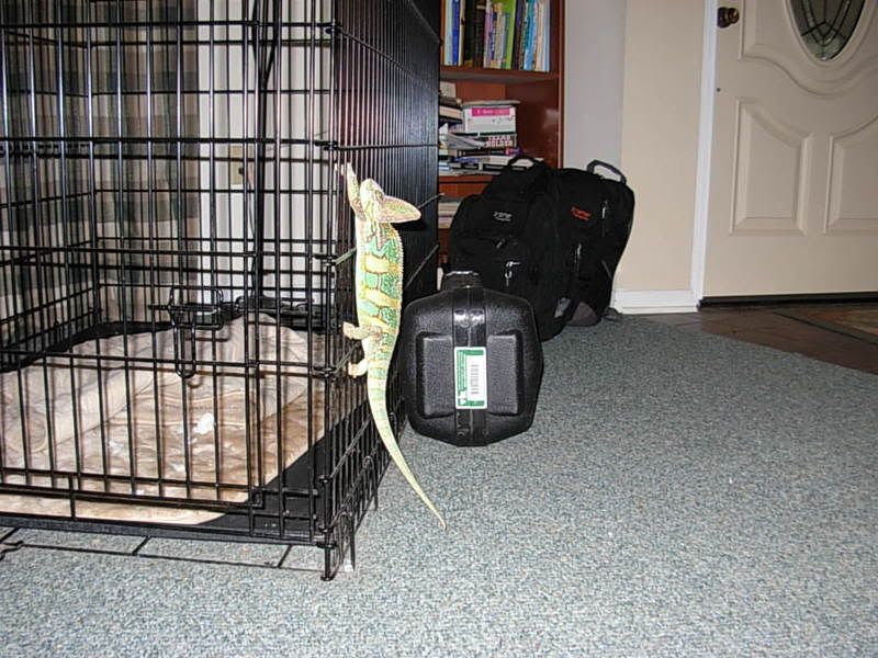 DSCN1379.jpg