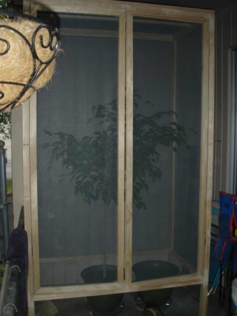 P6230500.jpg