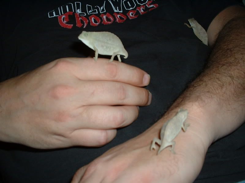 DSCF0038.jpg