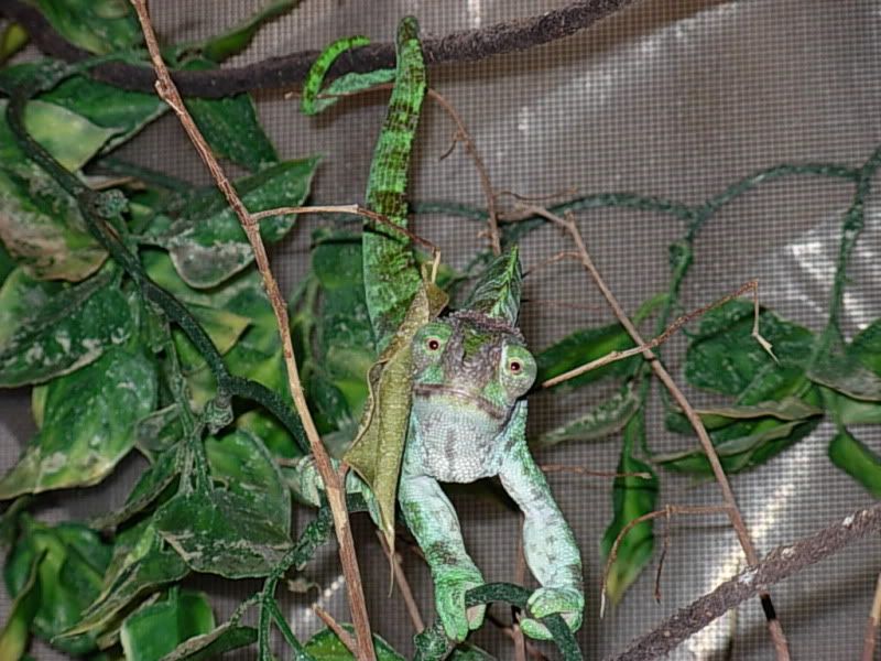 DSCN4424.jpg