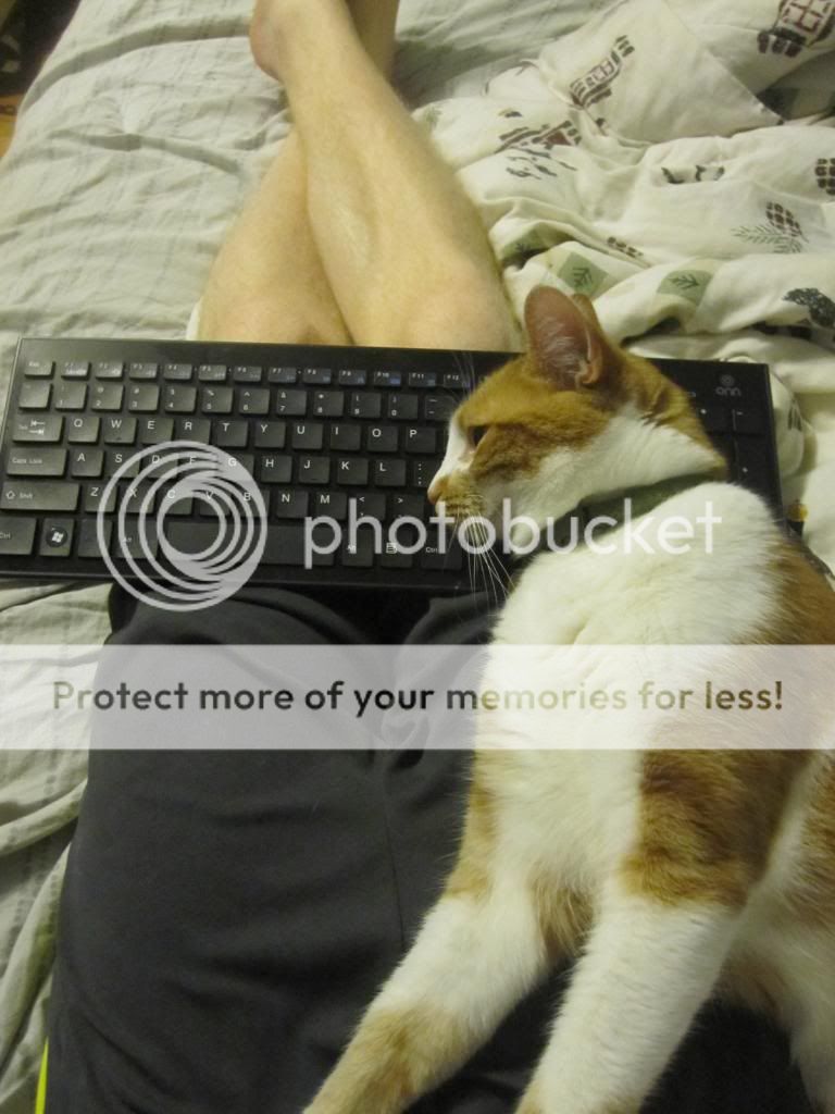 IMG_1160_zps23a31c8a.jpg