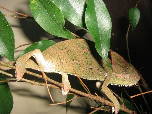 IMG_2007.jpg