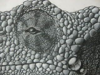 Jacksondrawing012.jpg