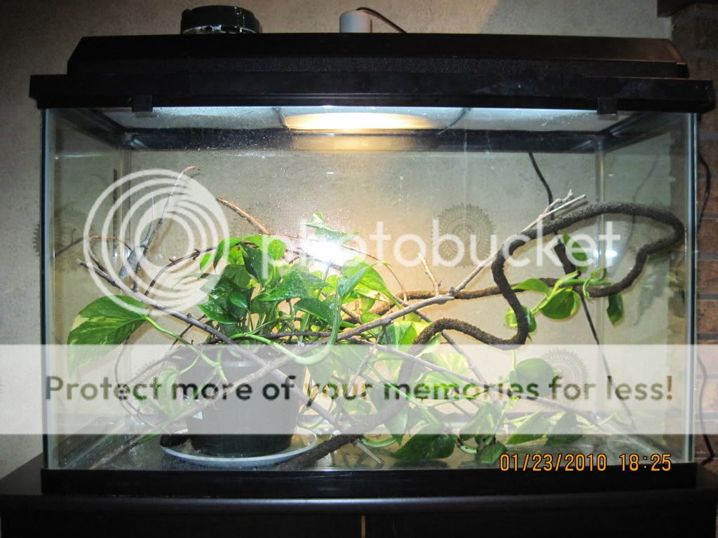 winter2009-2010033.jpg