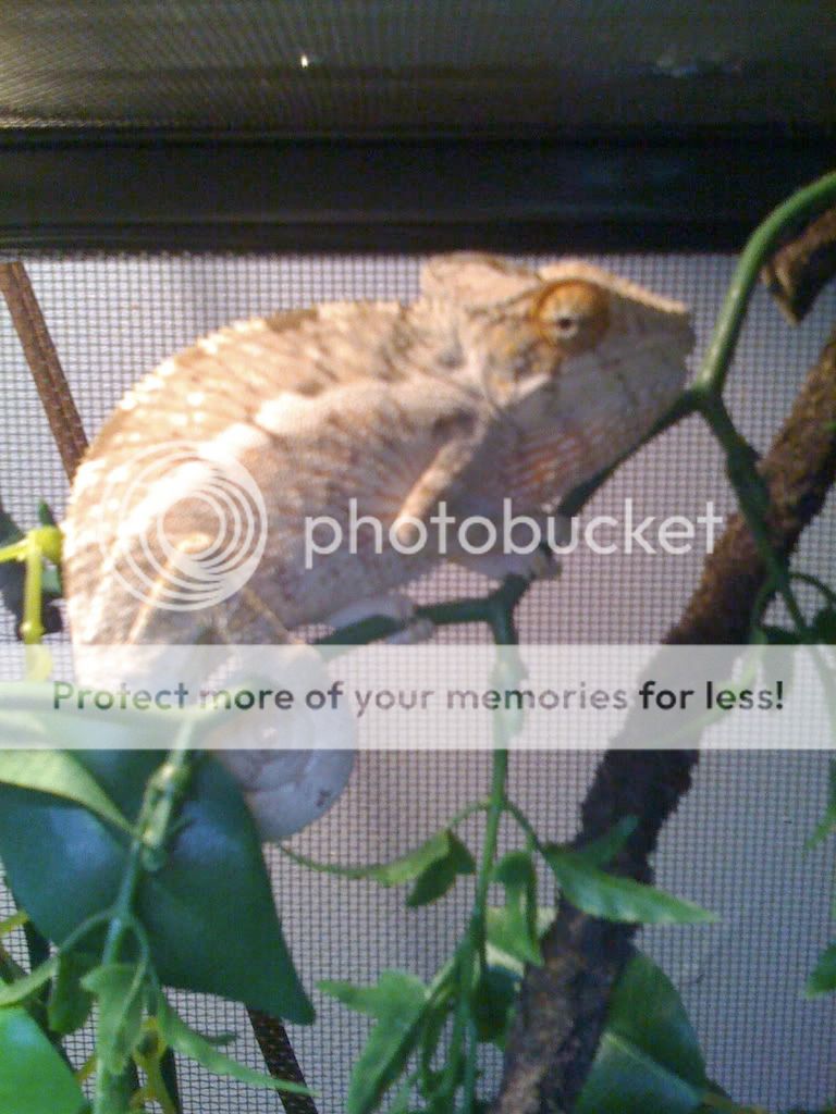 IMG_0112.jpg