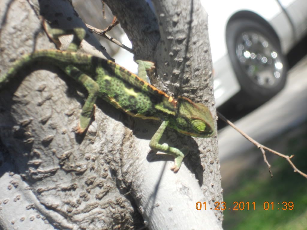 DSCN1548.jpg