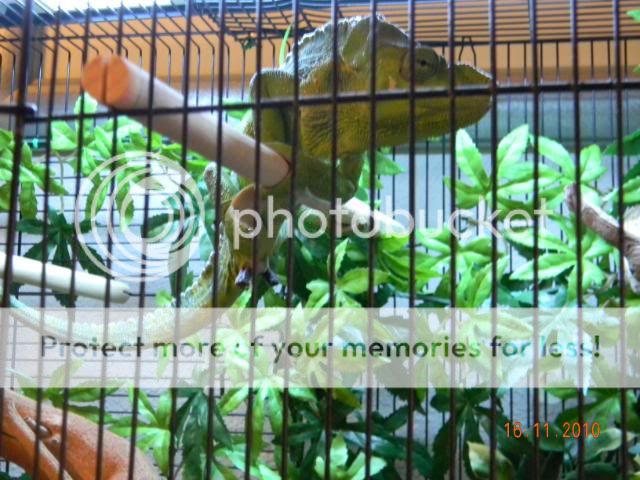 20101116_4.jpg