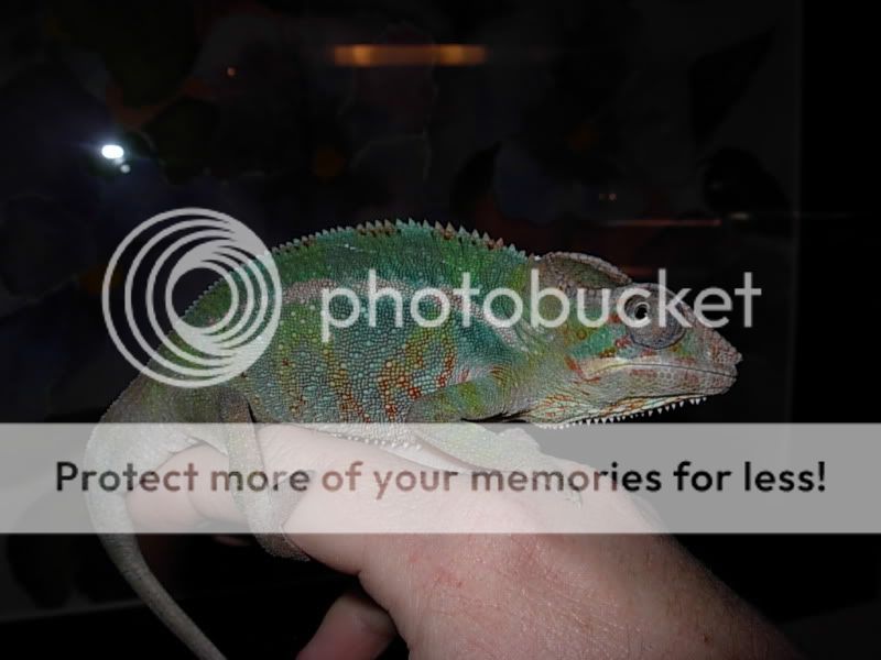 DSCN6281.jpg