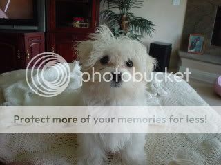 69PICS011.jpg