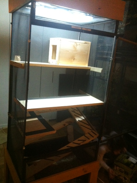 boxinalmostcomplete_zps8155b806.png