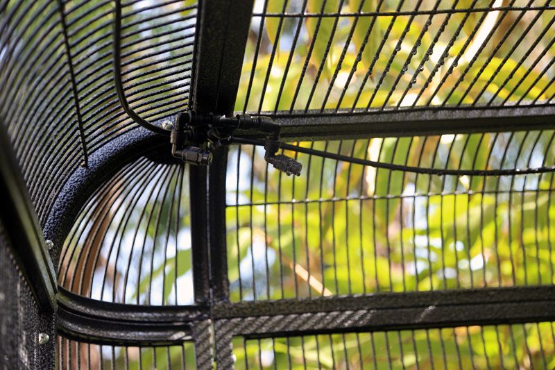 Parsons-Cage-2_zpsd3e3455f.jpg