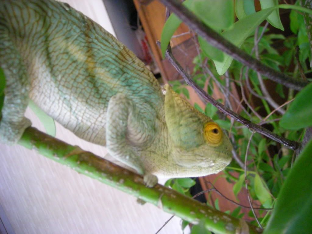 5MONTHOLDPARSONII001.jpg