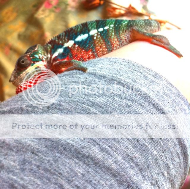 photo-174.jpg