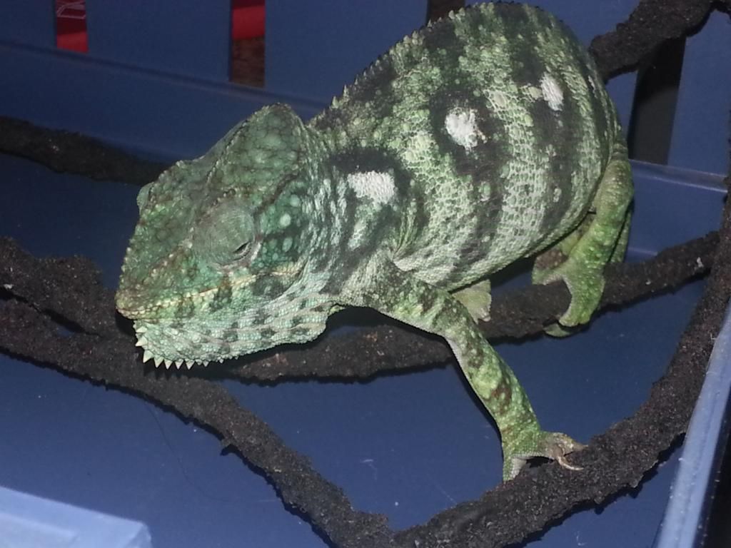 20140806_220053.jpg