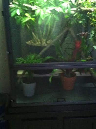 bottomcage.jpg