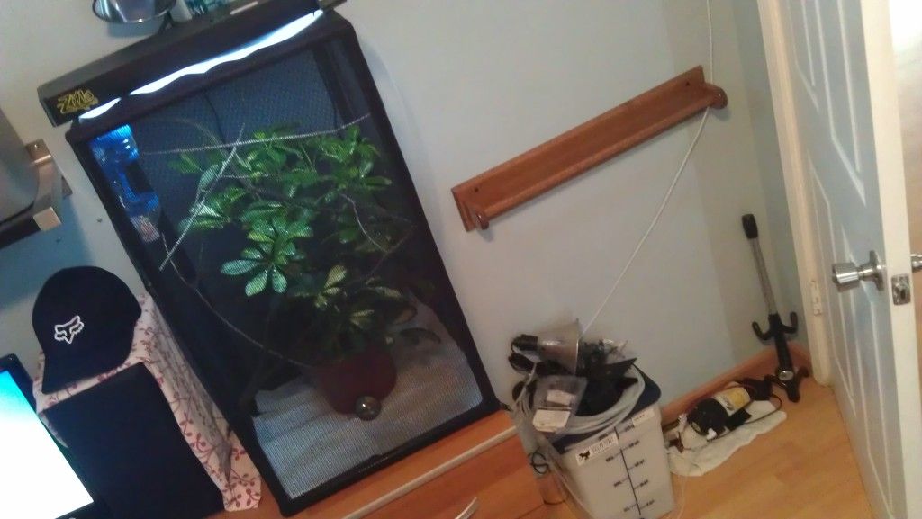 IMAG0253.jpg