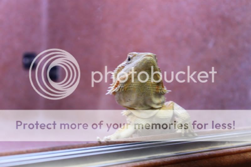 IMG_7664.jpg