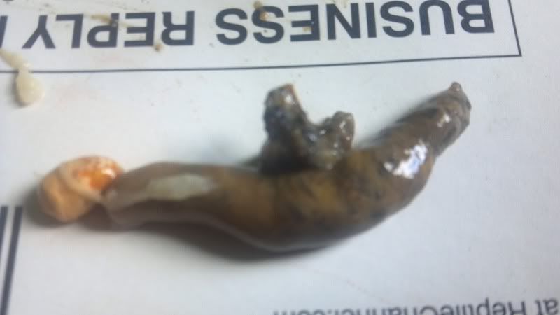 2012-04-10_11-14-29_505.jpg